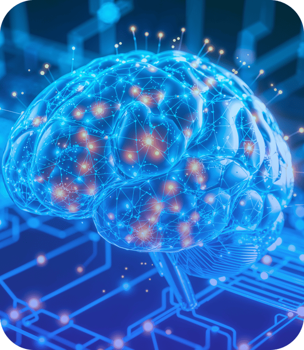 brain